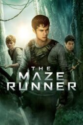 Nonton Film The Maze Runner (2014)