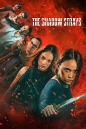 Nonton Film The Shadow Strays (2024)